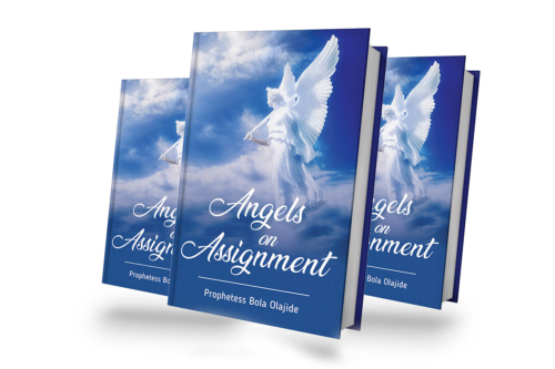 Prophetess Bola Olajide Book - Angels on Assignment