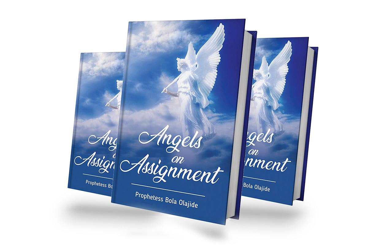 angels on assignment book pdf