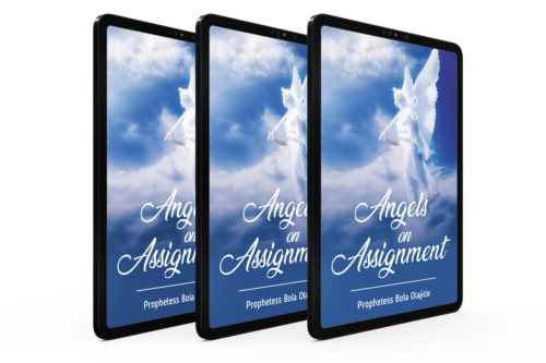 Prophetess Bola Olajide EBook - Angels on Assignment